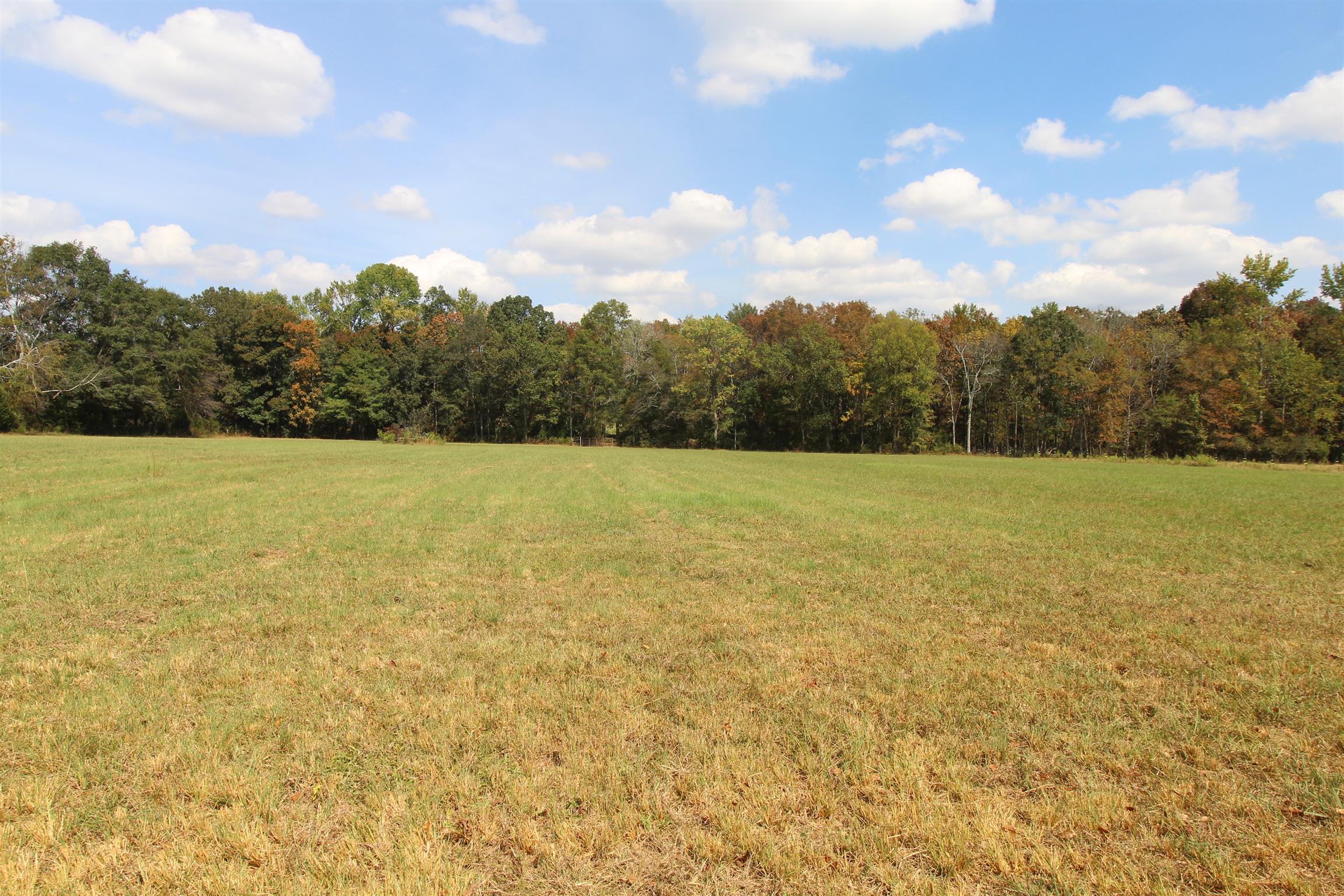 15546 Ham Road Athens, AL 35611 - Photo 11 of 23