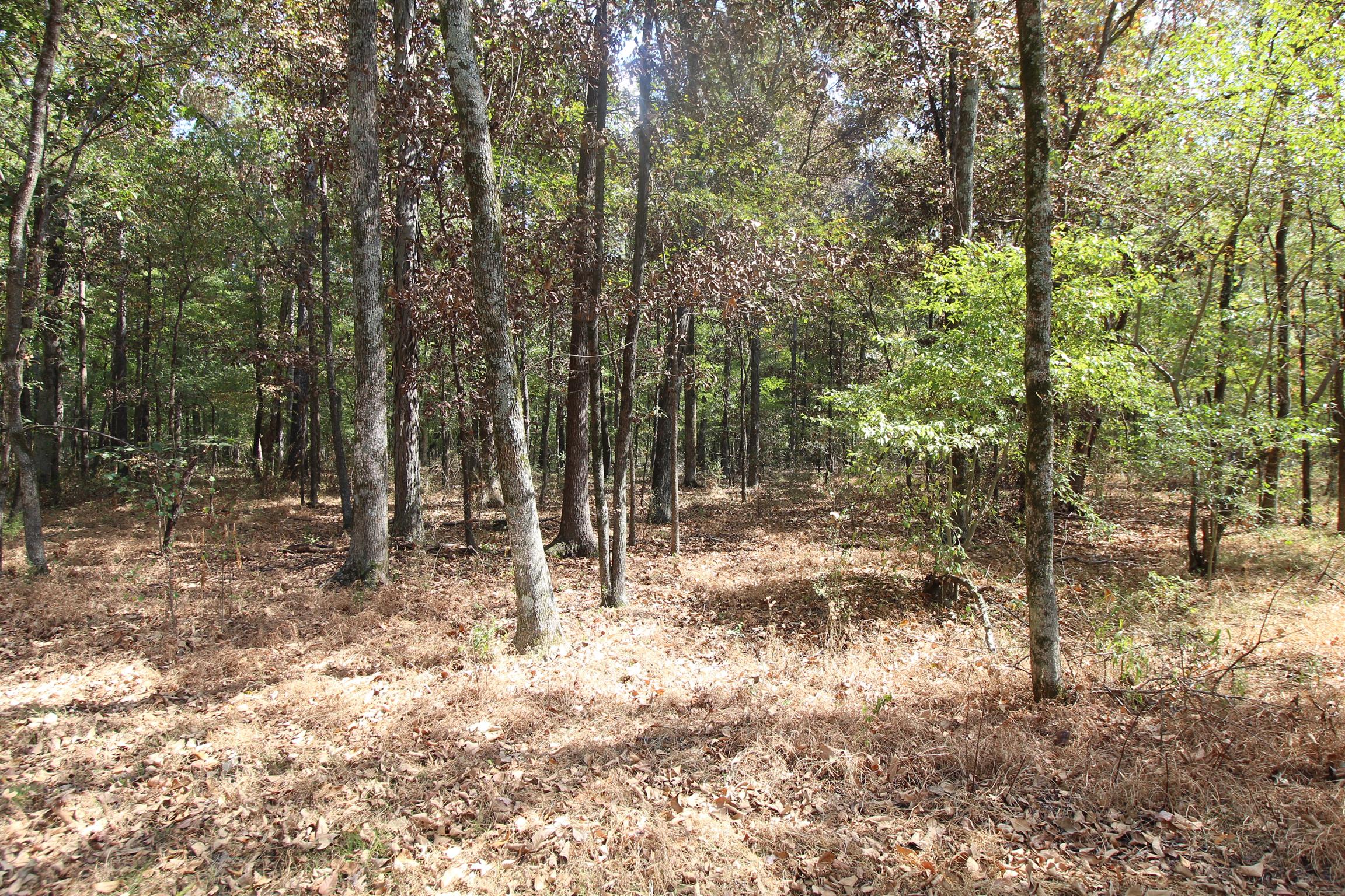15546 Ham Road Athens, AL 35611 - Photo 12 of 23