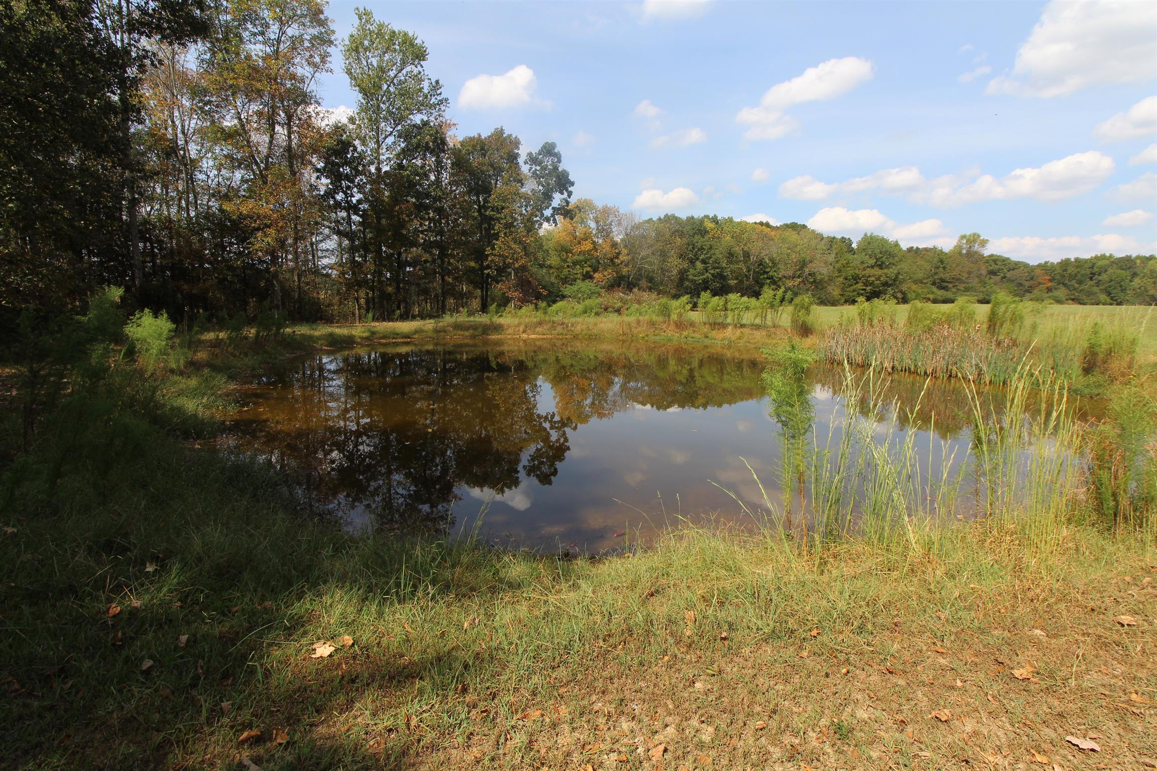 15546 Ham Road Athens, AL 35611 - Photo 13 of 23