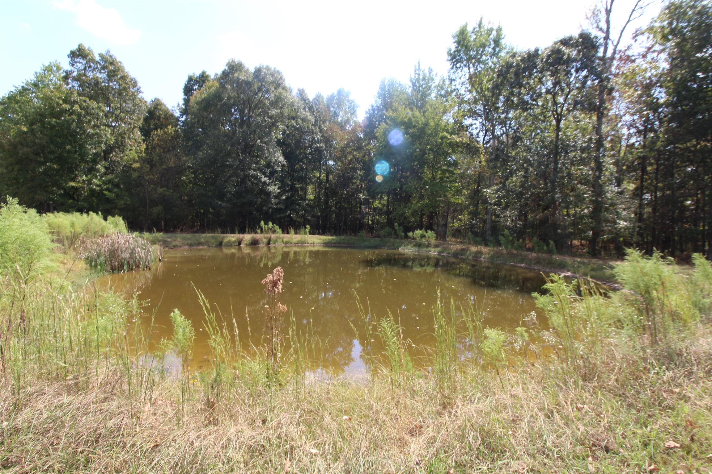 15546 Ham Road Athens, AL 35611 - Photo 14 of 23