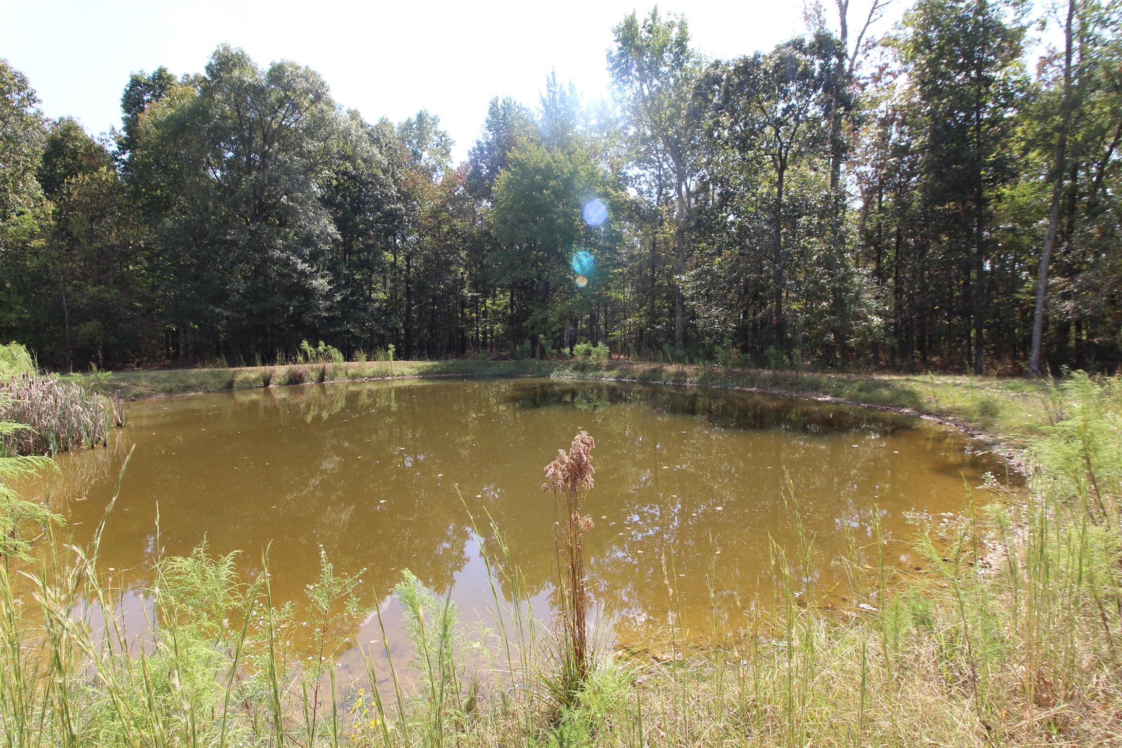 15546 Ham Road Athens, AL 35611 - Photo 15 of 23