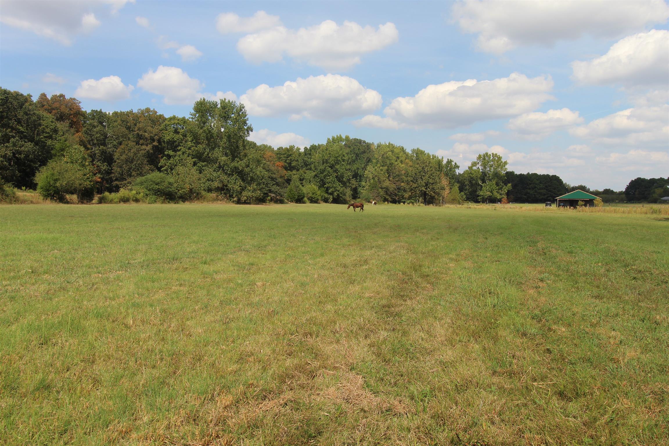 15546 Ham Road Athens, AL 35611 - Photo 16 of 23