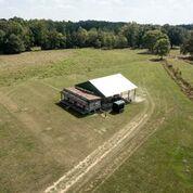 15546 Ham Road Athens, AL 35611 - Photo 19 of 23