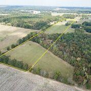 15546 Ham Road Athens, AL 35611 - Photo 21 of 23