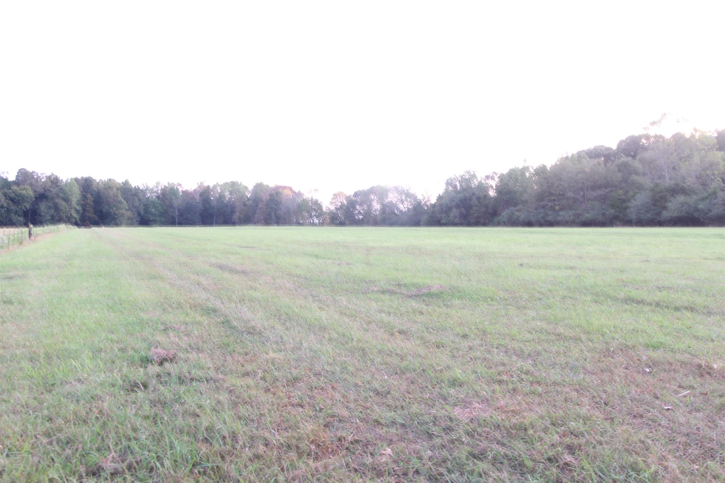 15546 Ham Road Athens, AL 35611 - Photo 8 of 23