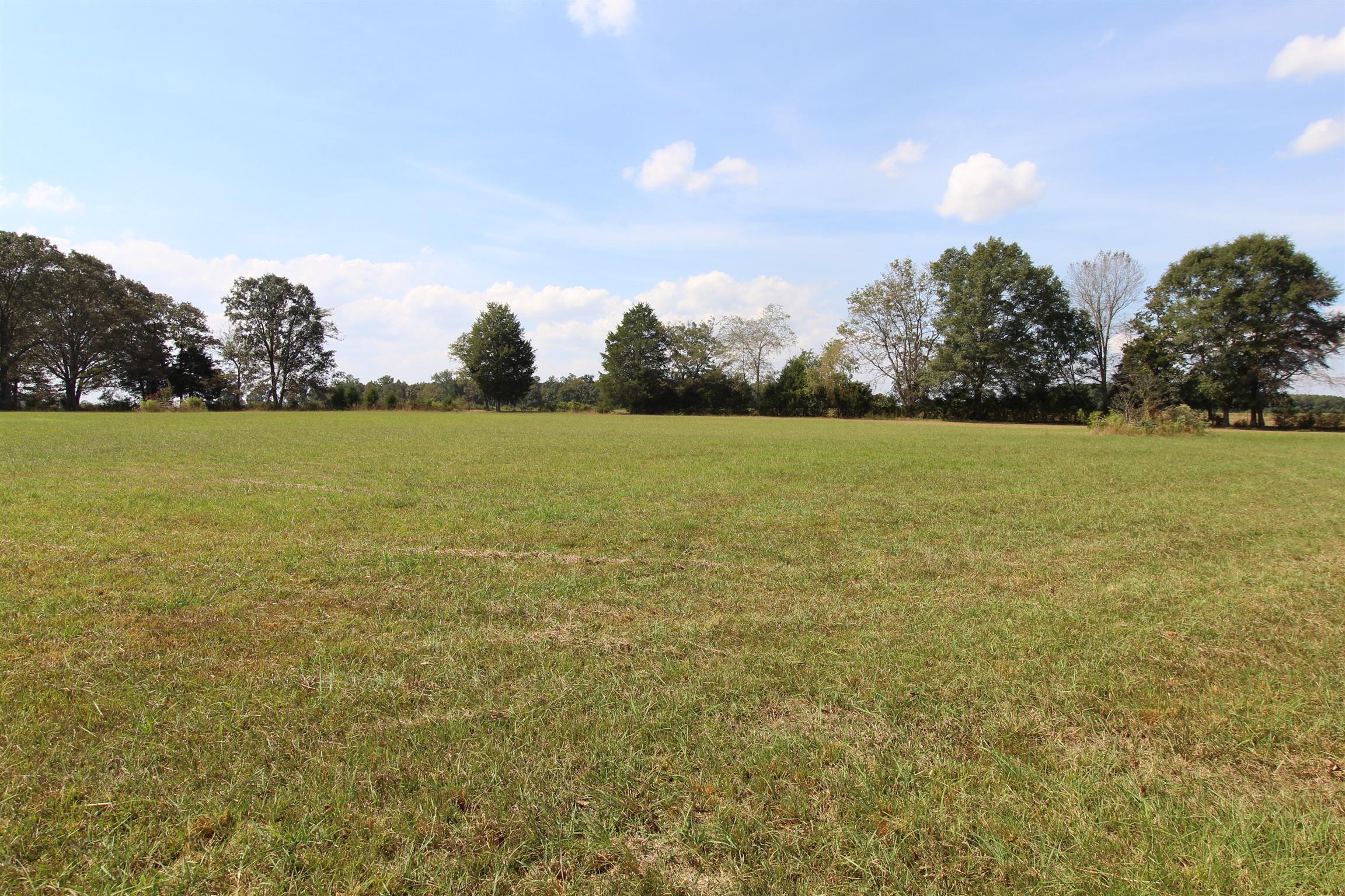 15546 Ham Road Athens, AL 35611 - Photo 9 of 23
