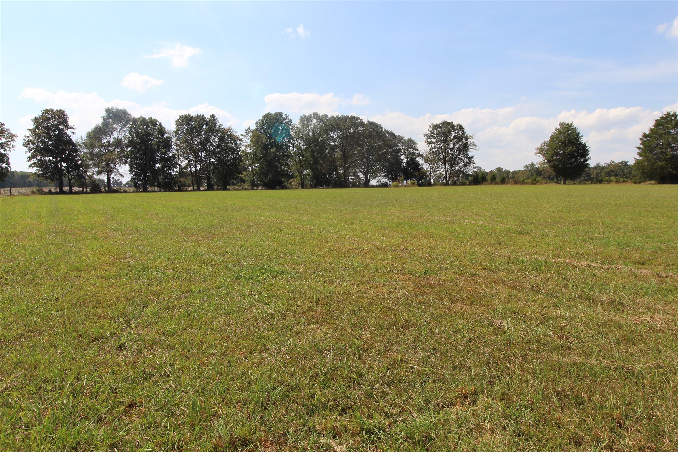 15546 Ham Road Athens, AL 35611 - Photo 10 of 23