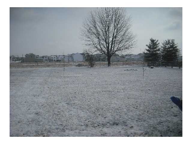 519 Acme Road Delaware, OH 43015 - Photo 2 of 10 Gallery Image 2