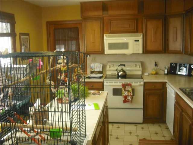 519 Acme Road Delaware, OH 43015 - Photo 6 of 10 Gallery Image 6