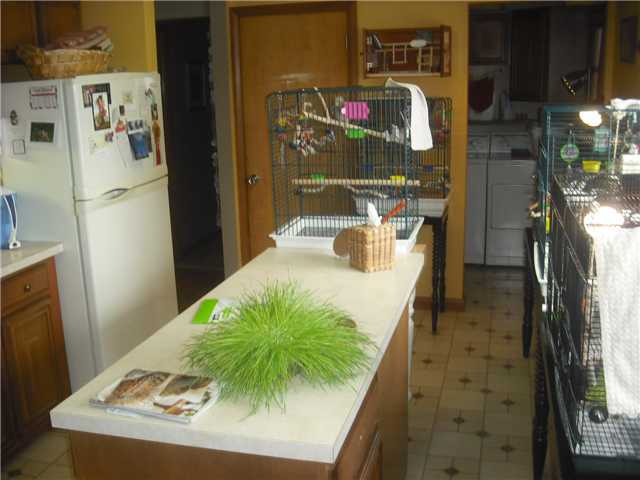 519 Acme Road Delaware, OH 43015 - Photo 7 of 10 Gallery Image 7
