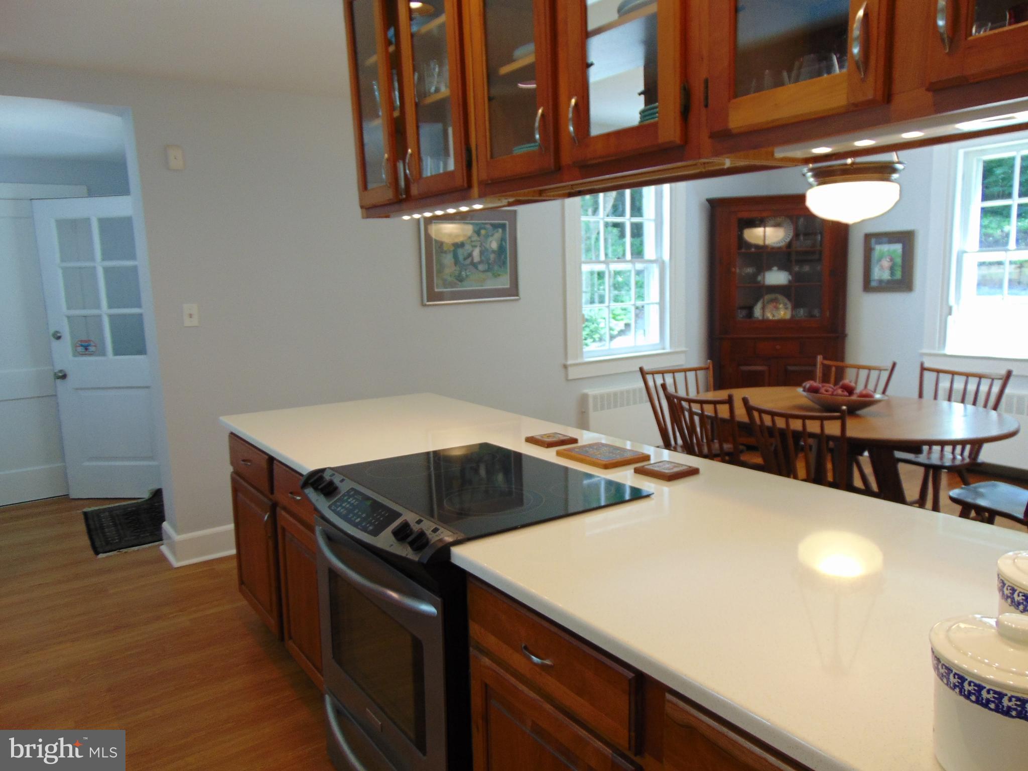 31 South Providence Road Wallingford, PA 19086 - Photo 6 of 61 Pantry and Access to Driveway From Kitchen