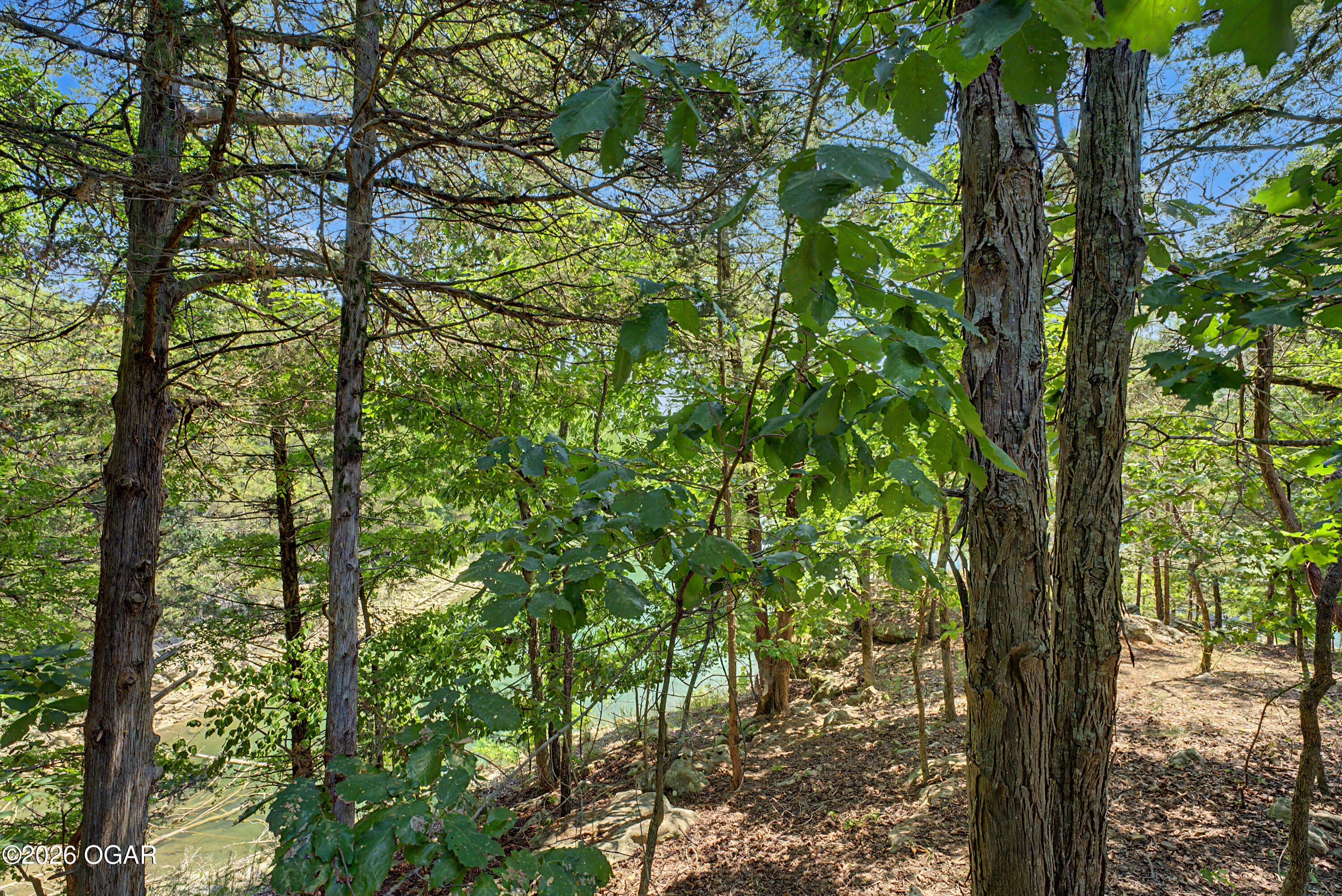 7670 Angell Road Rogers, AR 72756 - Photo 22 of 37 Gallery Image 22