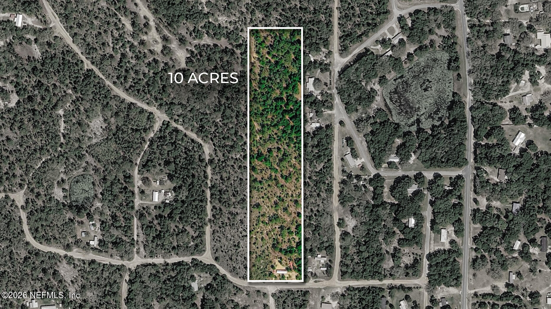 116 London Avenue Interlachen, FL 32148 - Photo 14 of 25 a view of a garden