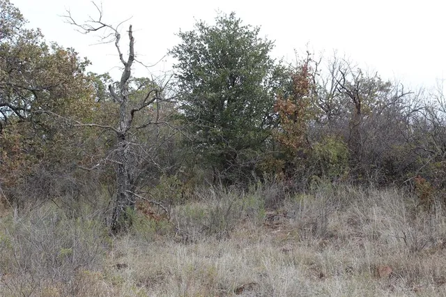 $144,000 | 206 County Road 206, Breckenridge, TX 76424