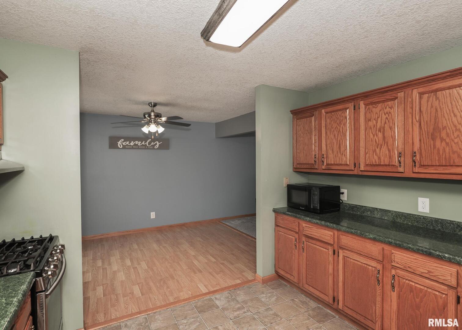 330 Sullivan Drive Colona, IL 61241 - Photo 14 of 31 a view of a kitchen with granite countertop cabinets