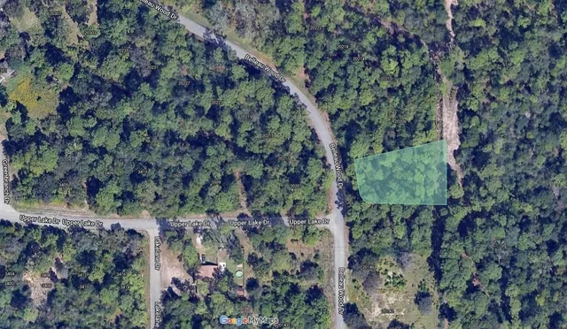 a backyard of a house with lots of trees