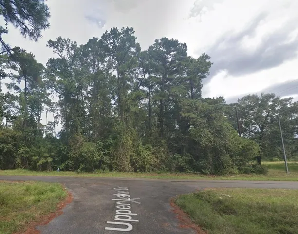 a view of a street with a trees
