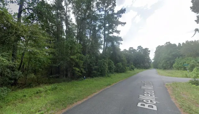 a view of a street with a yard and large trees