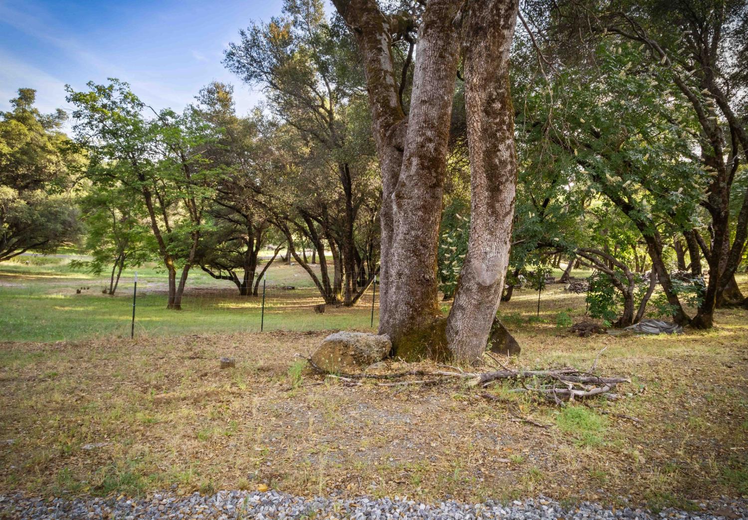 5025 Eco Ridge Road Placerville, CA 95667 - Photo 57 of 72