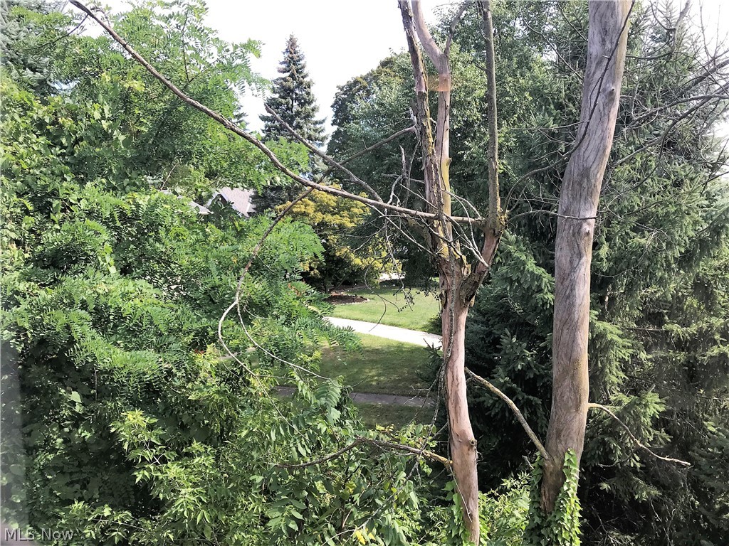 19860 Lorain Road, Unit 6 Cleveland, OH 44126 - Photo 12 of 14 View from bedroom #2