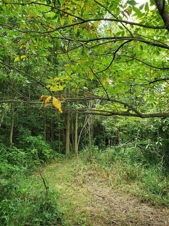 11 Maplefield Byron, MI 48418 - Photo 2 of 15