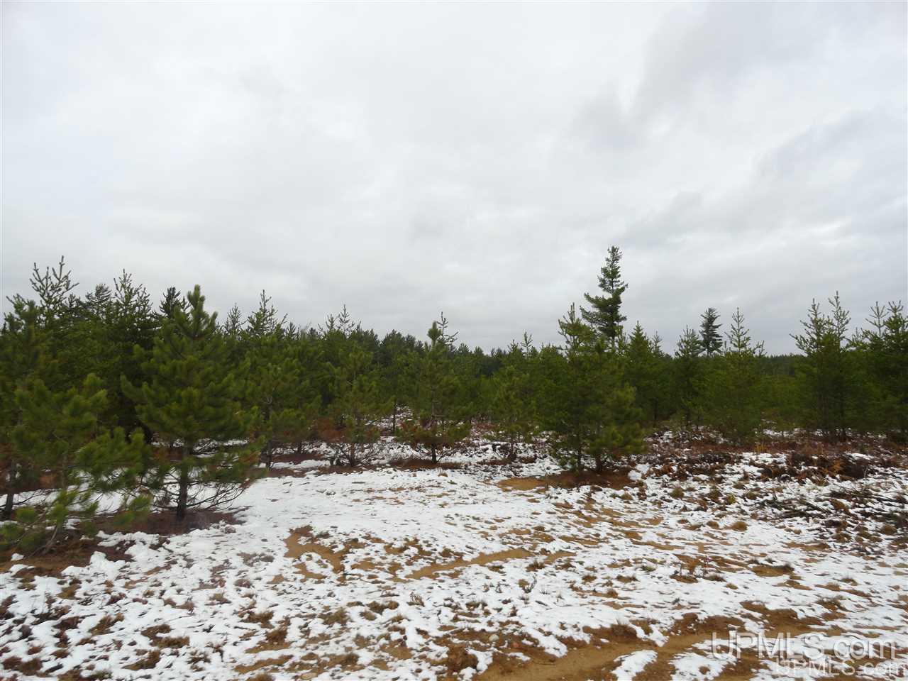 80-acres 80-acres Co Road Negaunee, MI 49866 - Photo 22 of 45