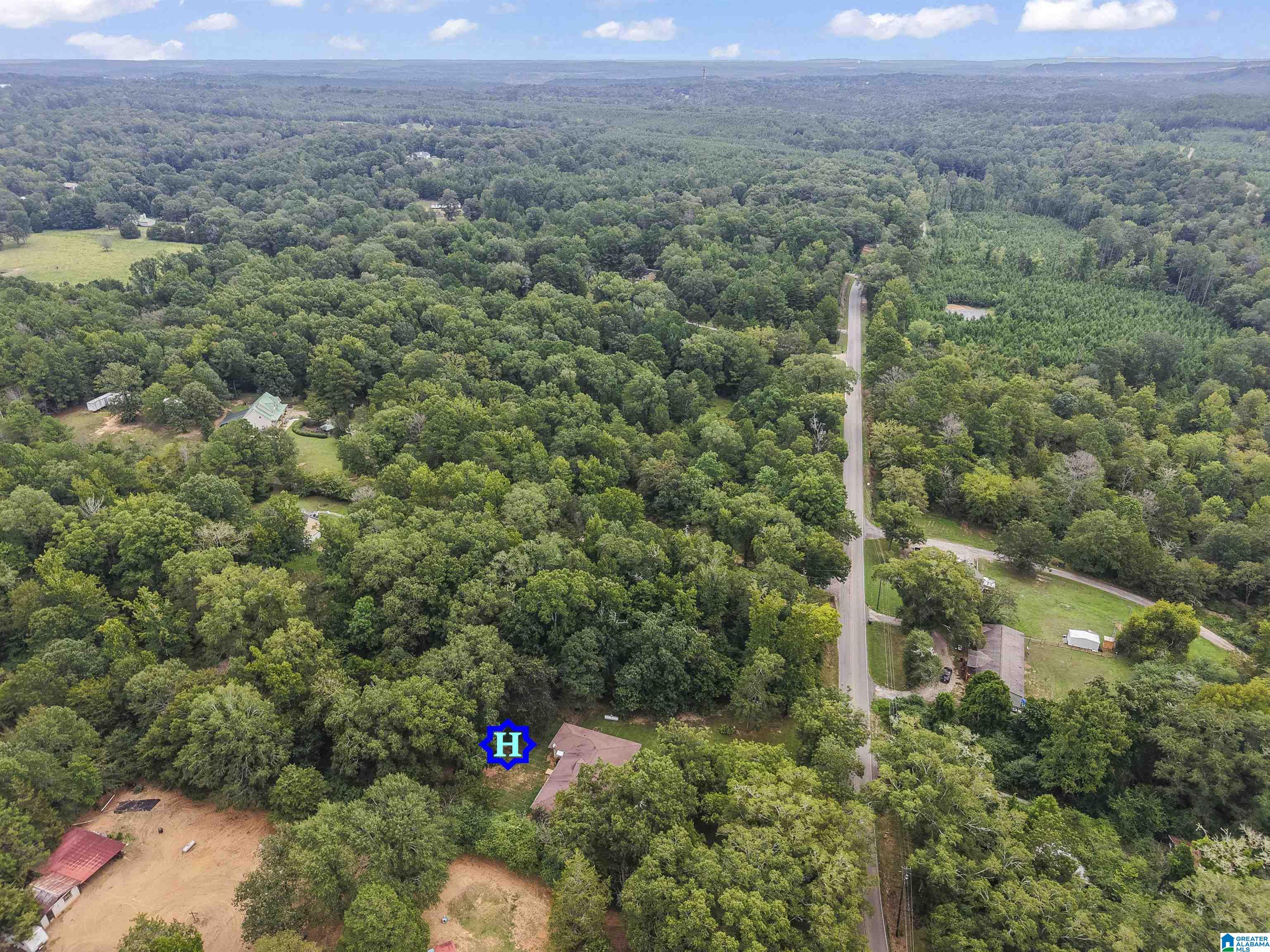 9999 Lock 17 Road Adger, AL 35006 - Photo 37 of 39