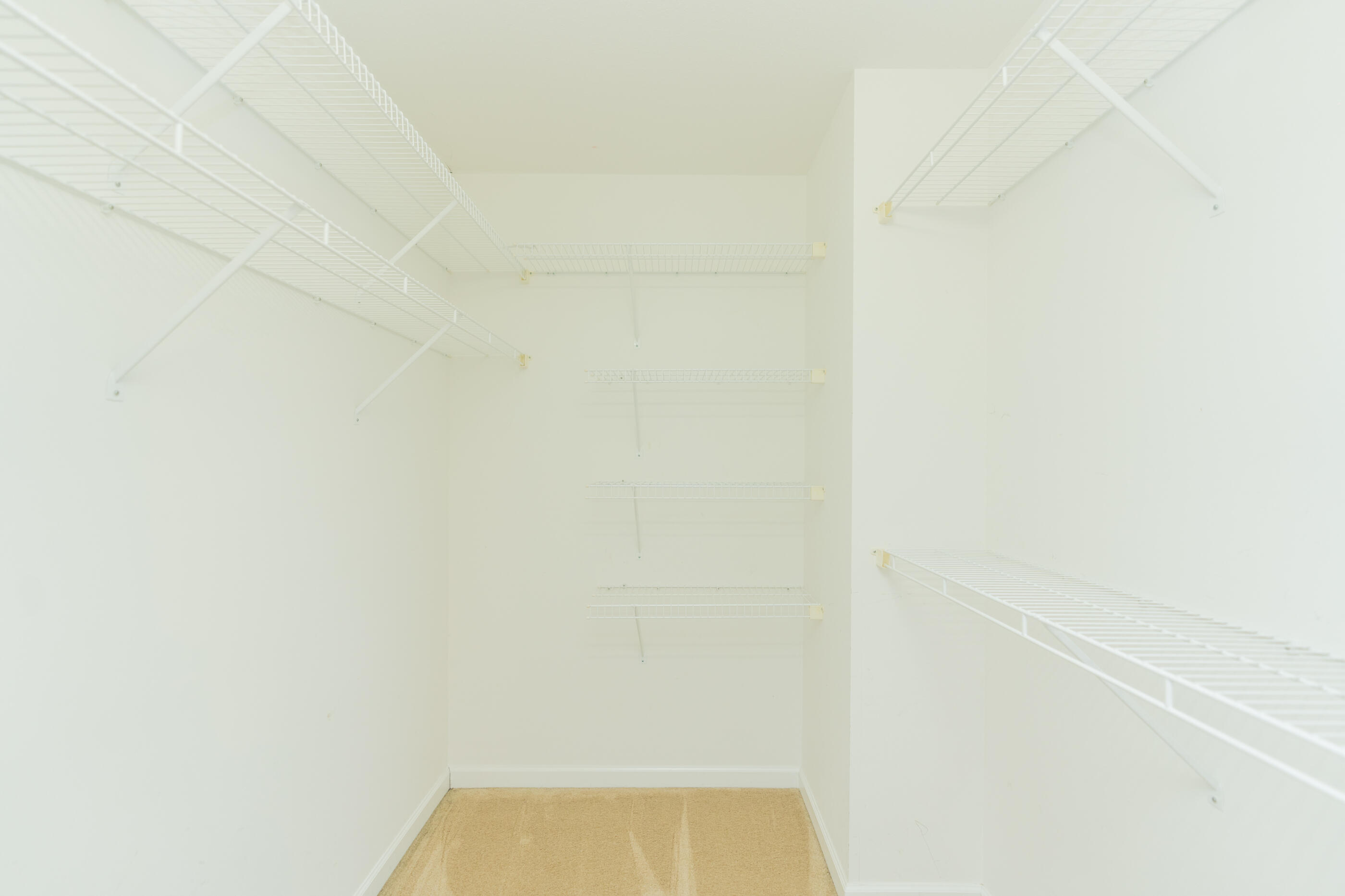 2041 Cannondale Loop Chattanooga, TN 37421 - Photo 17 of 39 DSC08881-10