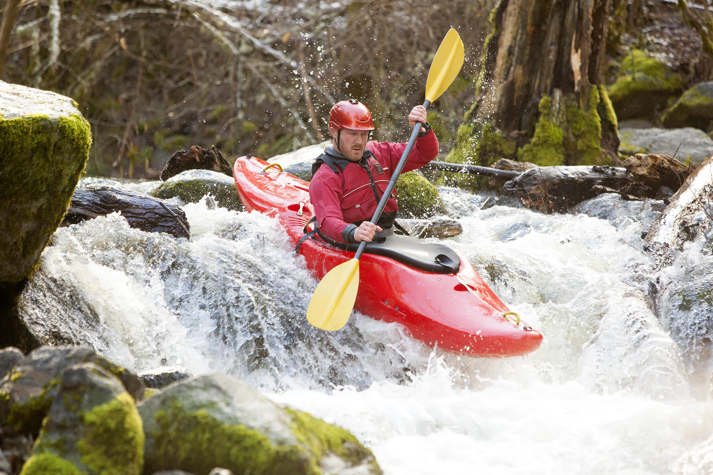 2041 Cannondale Loop Chattanooga, TN 37421 - Photo 34 of 39 shutterstock_405134125