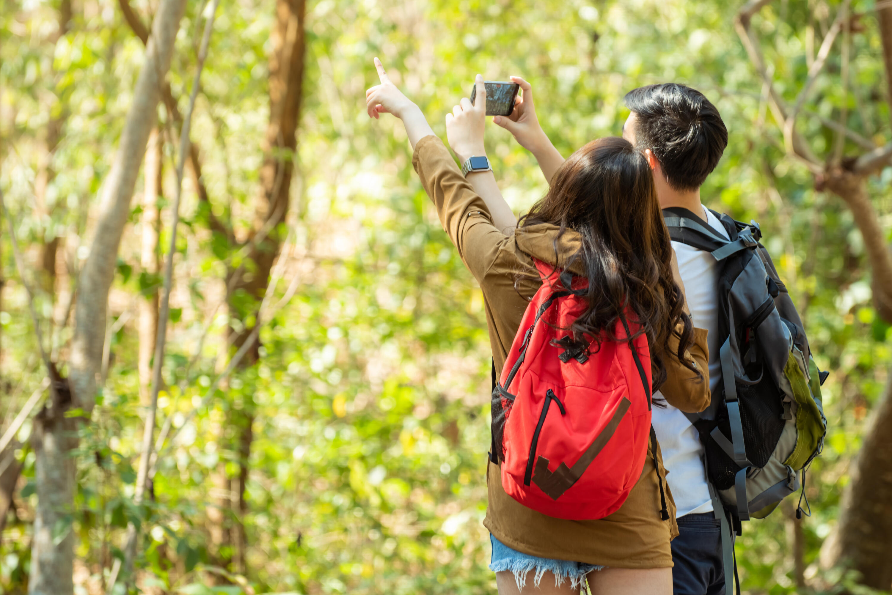 2041 Cannondale Loop Chattanooga, TN 37421 - Photo 36 of 39 shutterstock_1681406503