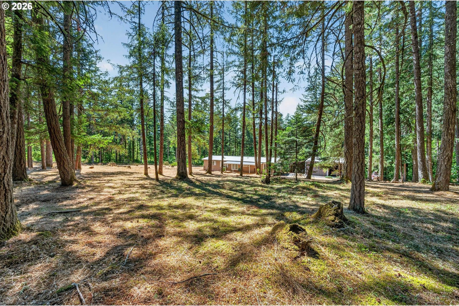 1111 Pioneer Road Dallas, OR 97338 - Photo 39 of 48 Gallery Image 39