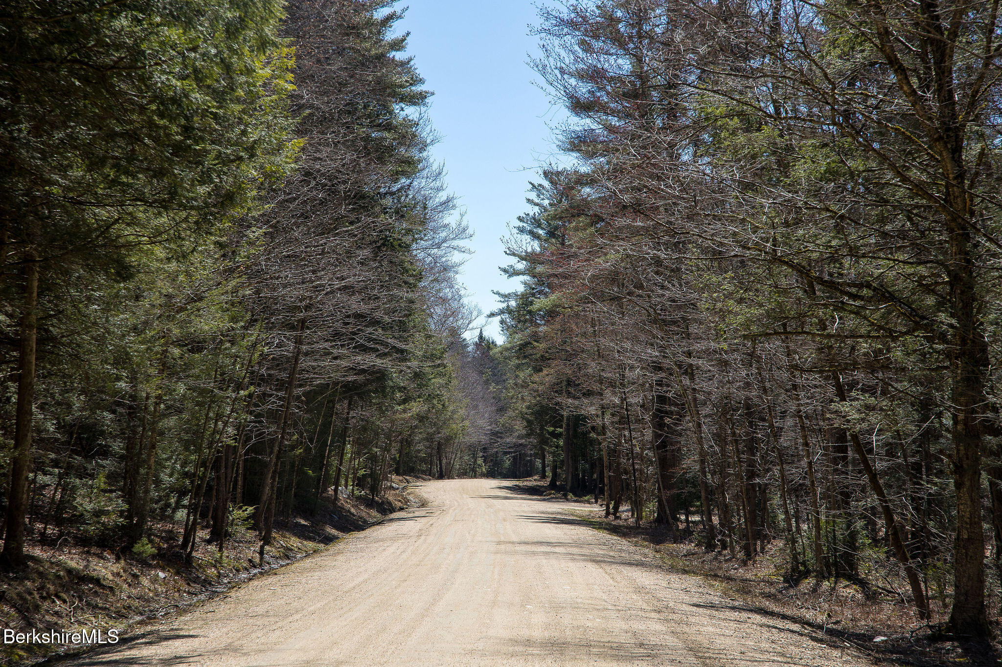 Lot #19 Stratford Road New Marlborough, MA 01230 - Photo 6 of 11 a view of outdoor space with trees