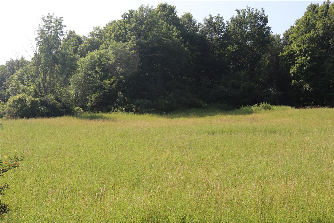 0 Hopkins Road Batavia, NY 14020 - Photo 1 of 1