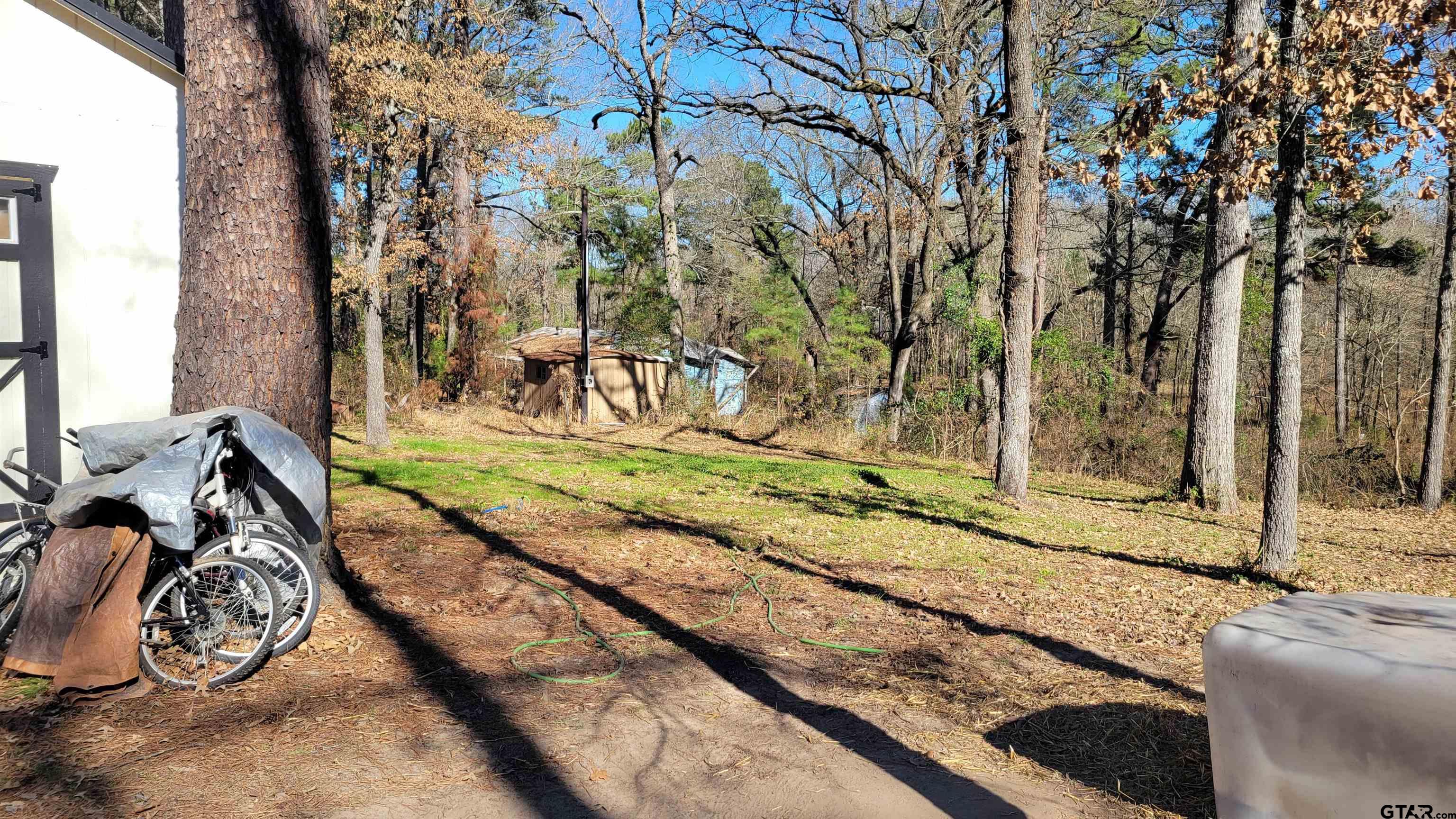 269 County Road 2155 Quitman, TX 75783 - Photo 13 of 15 a view of a yard with potted plants