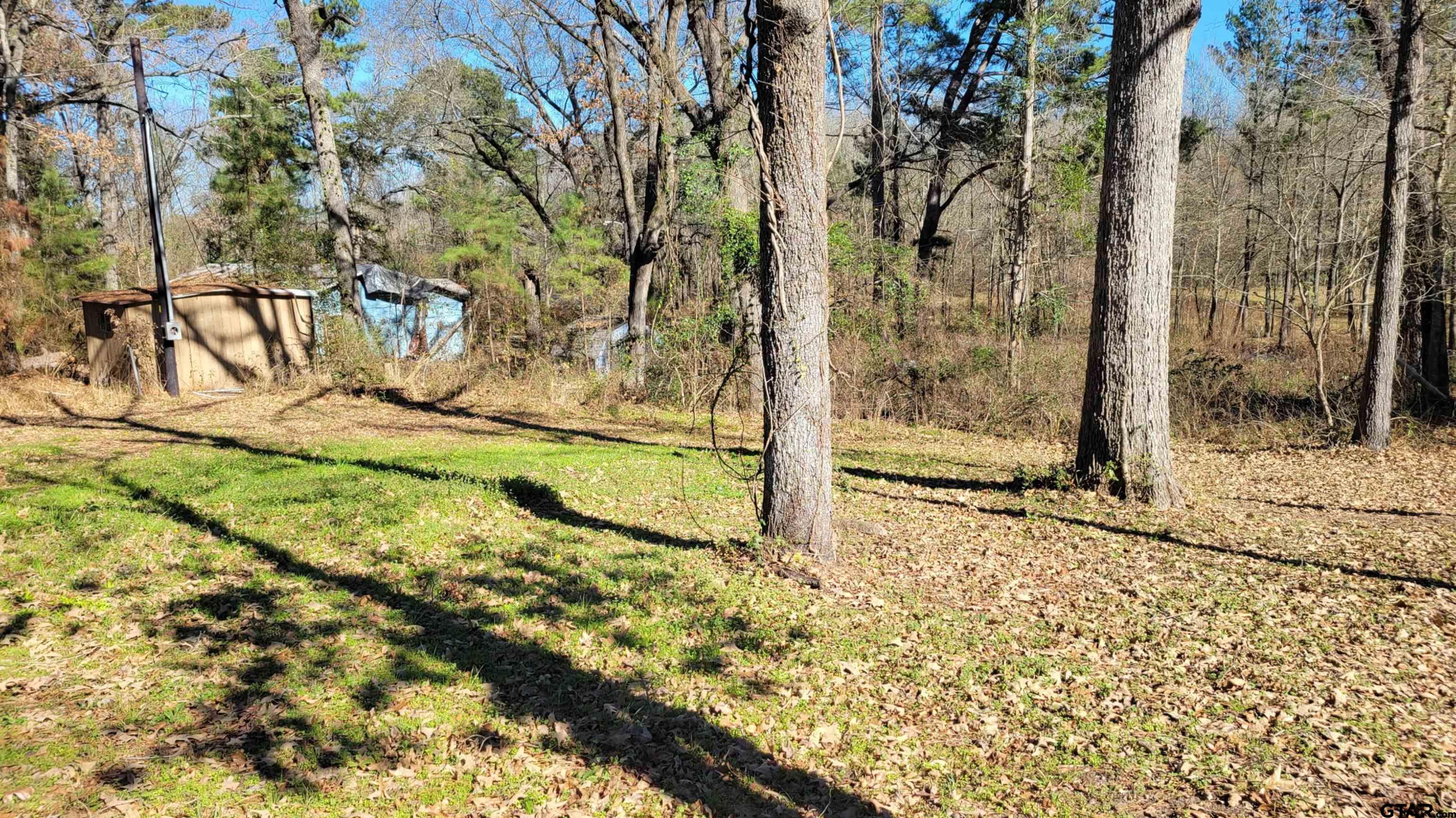 269 County Road 2155 Quitman, TX 75783 - Photo 15 of 15 a view of a backyard of the house