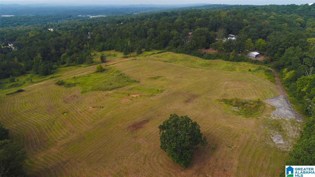 885 Hitching Post Lane, Unit 20 ACRES Birmingham, AL 35210 - Photo 3 of 16