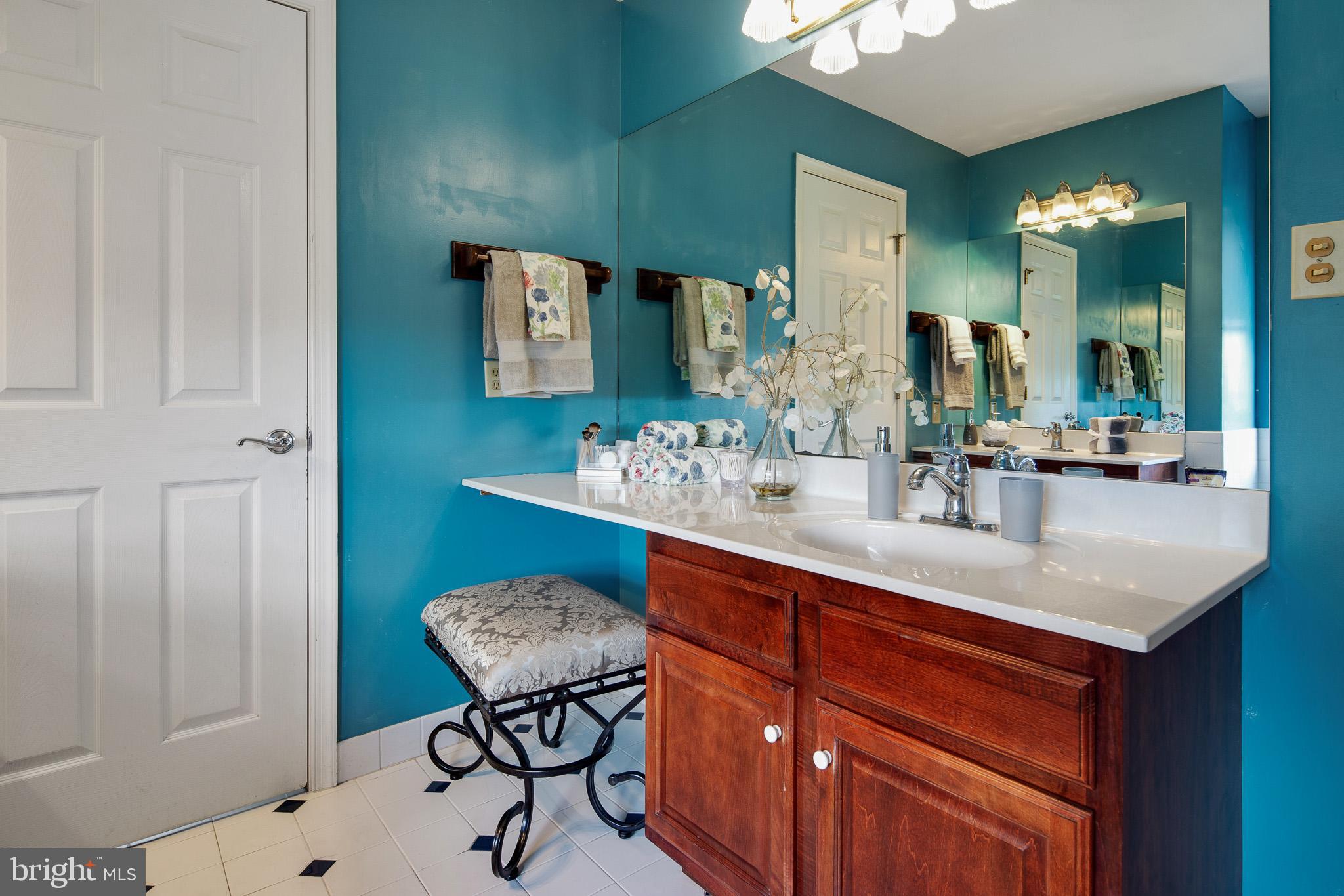 115 Scott Road Warwick, MD 21912 - Photo 27 of 43 Master Bath - additional vanity