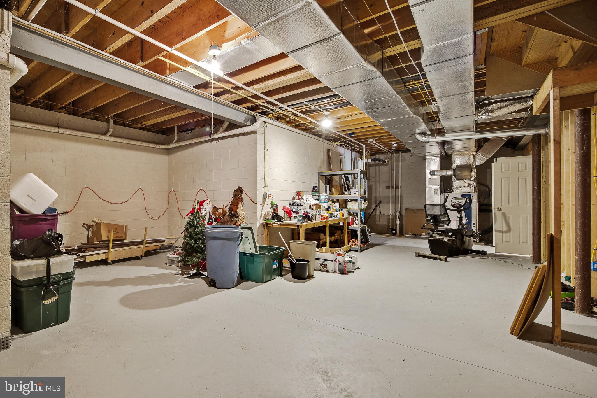 115 Scott Road Warwick, MD 21912 - Photo 37 of 43 Basement storage area