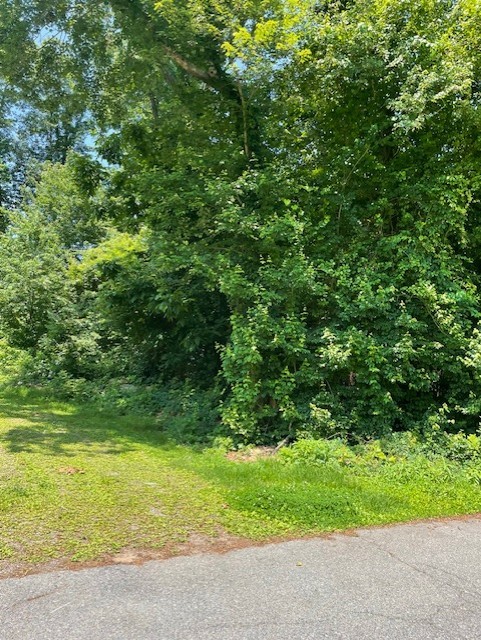 0 Wapping Drive Bristol, RI 02809 - Photo 5 of 11 Wapping Drive front view of land with mature trees