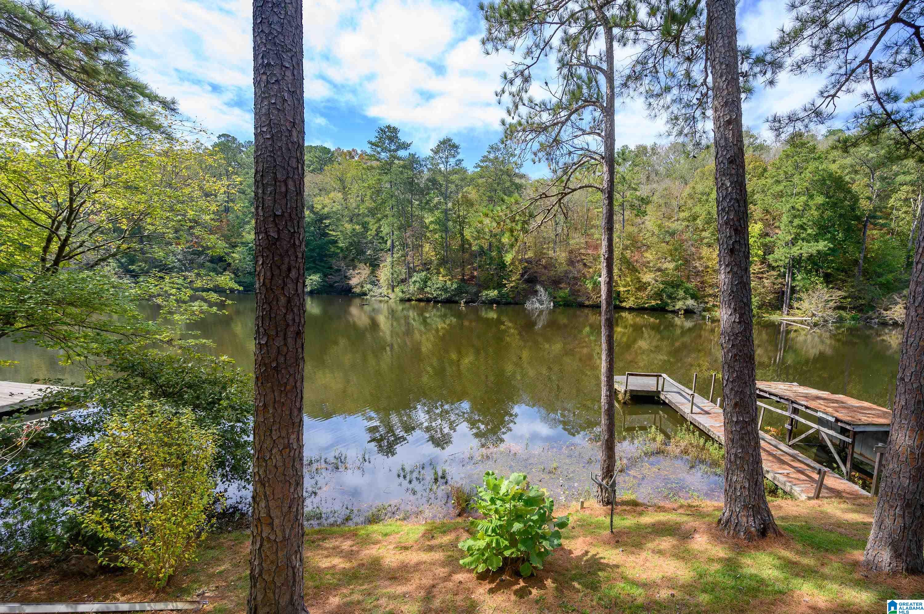 76 Skeeter Creek Road Cordova, AL 35550 - Photo 35 of 50