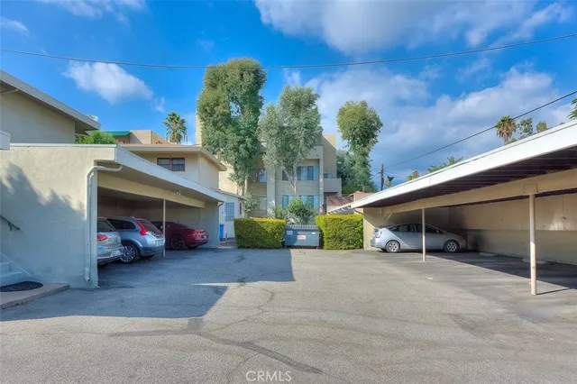 a view of a road with plants and large trees