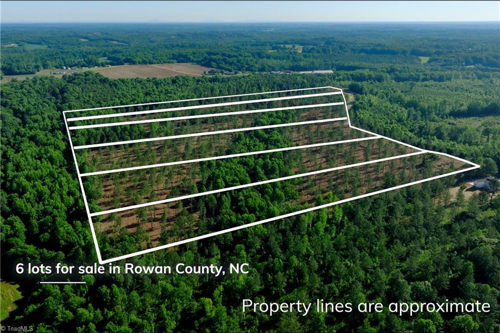 0 Carson Road Cleveland, NC 27013 - Photo 12 of 17