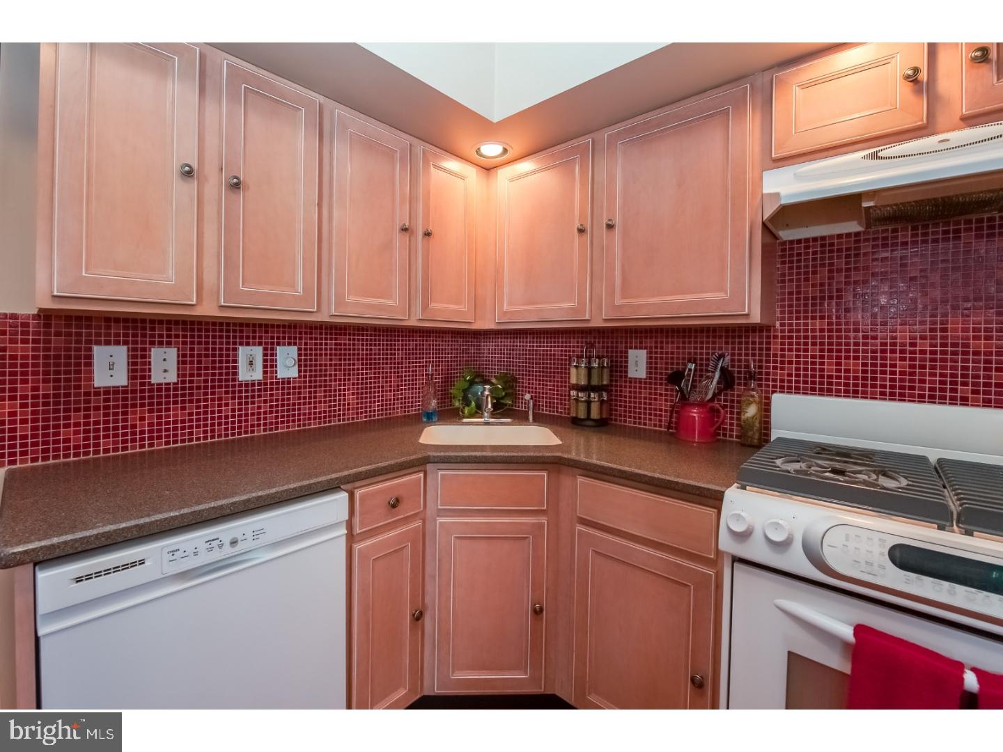 516 Righter Street Philadelphia, PA 19128 - Photo 3 of 21 Gallery Image 3