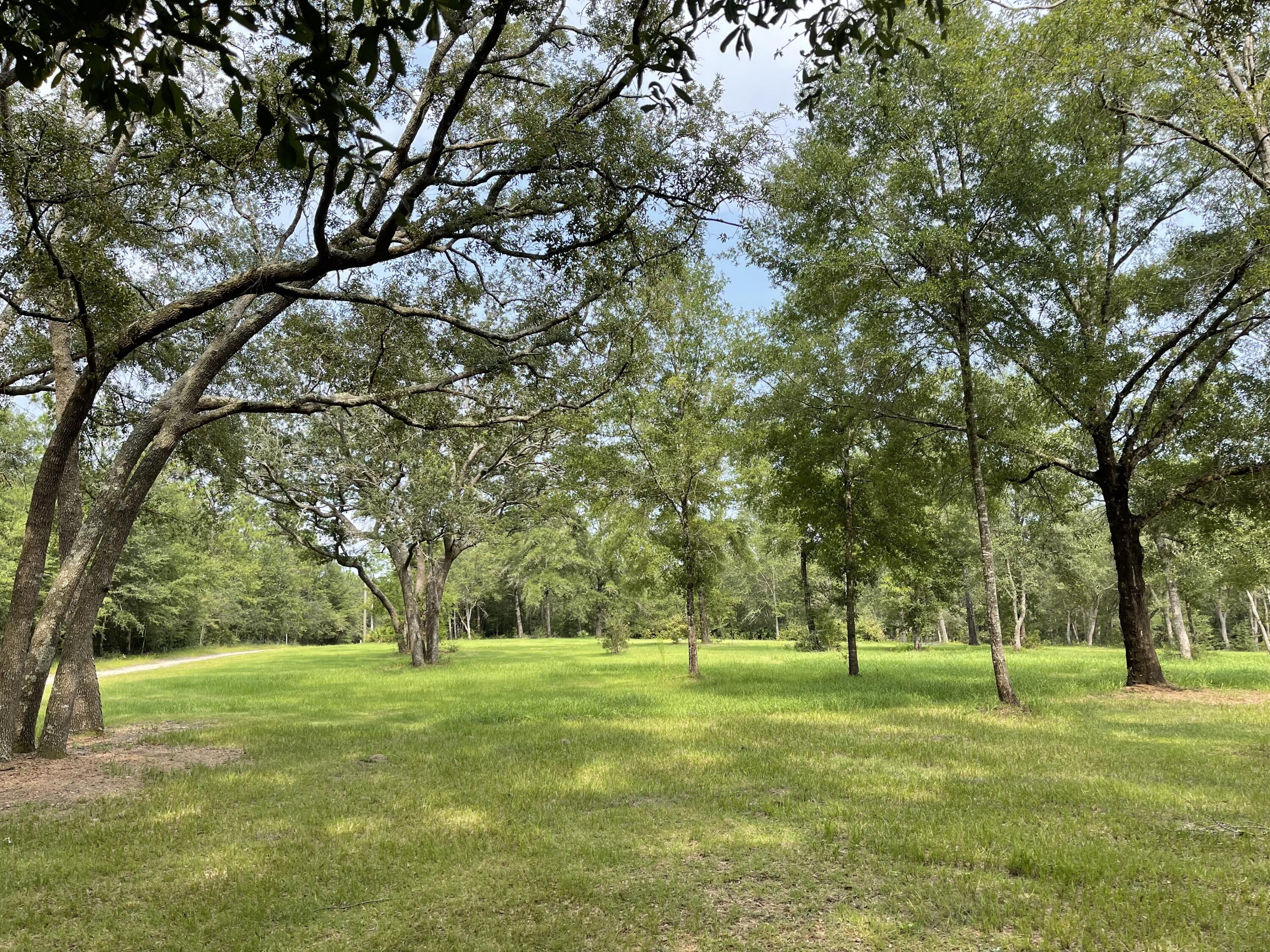 4610 Wilkerson Bluff Road Holt, FL 32564 - Photo 8 of 27 IMG_5553