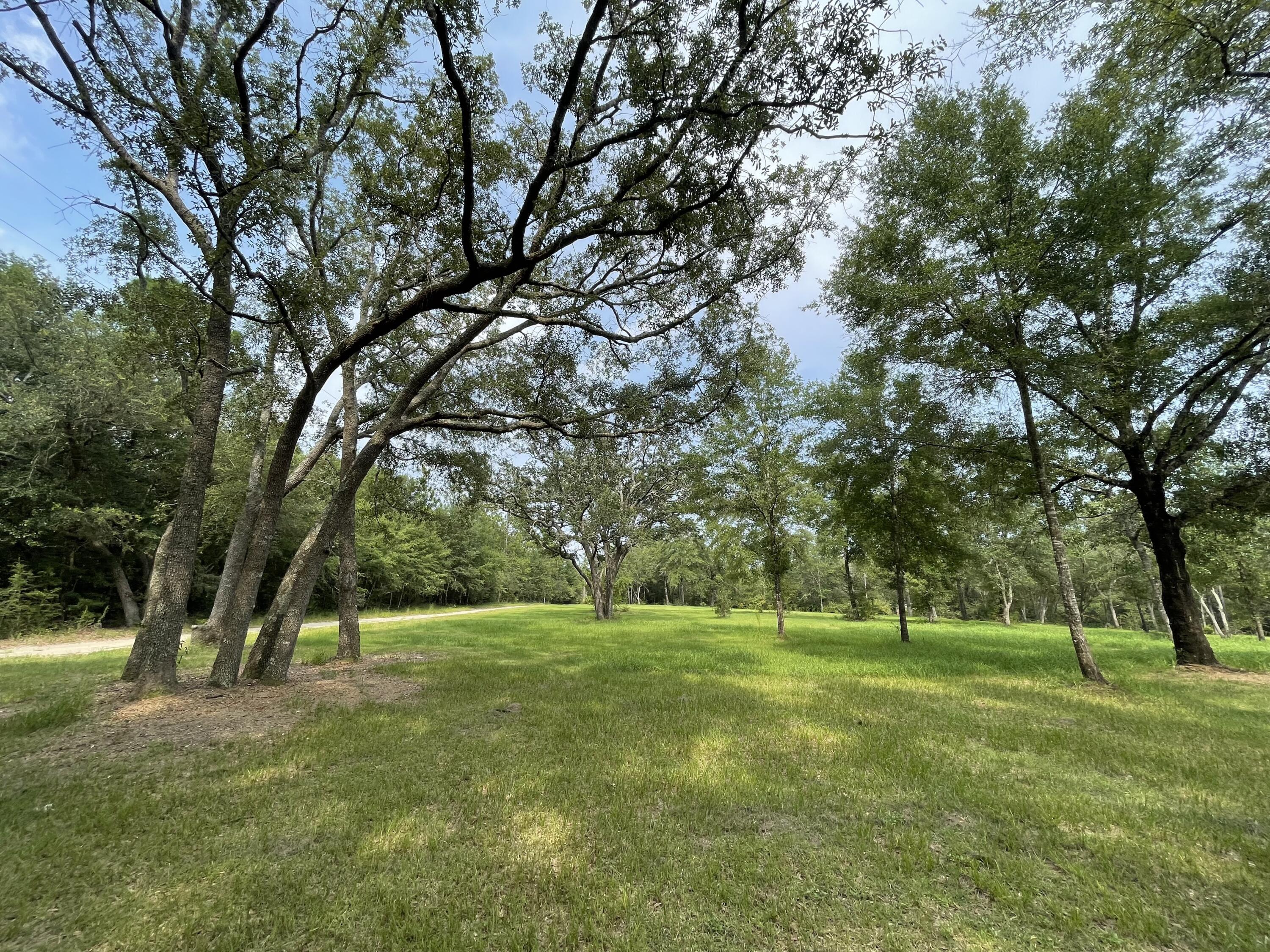 4610 Wilkerson Bluff Road Holt, FL 32564 - Photo 10 of 27 IMG_5555