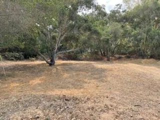 a view of outdoor space with trees