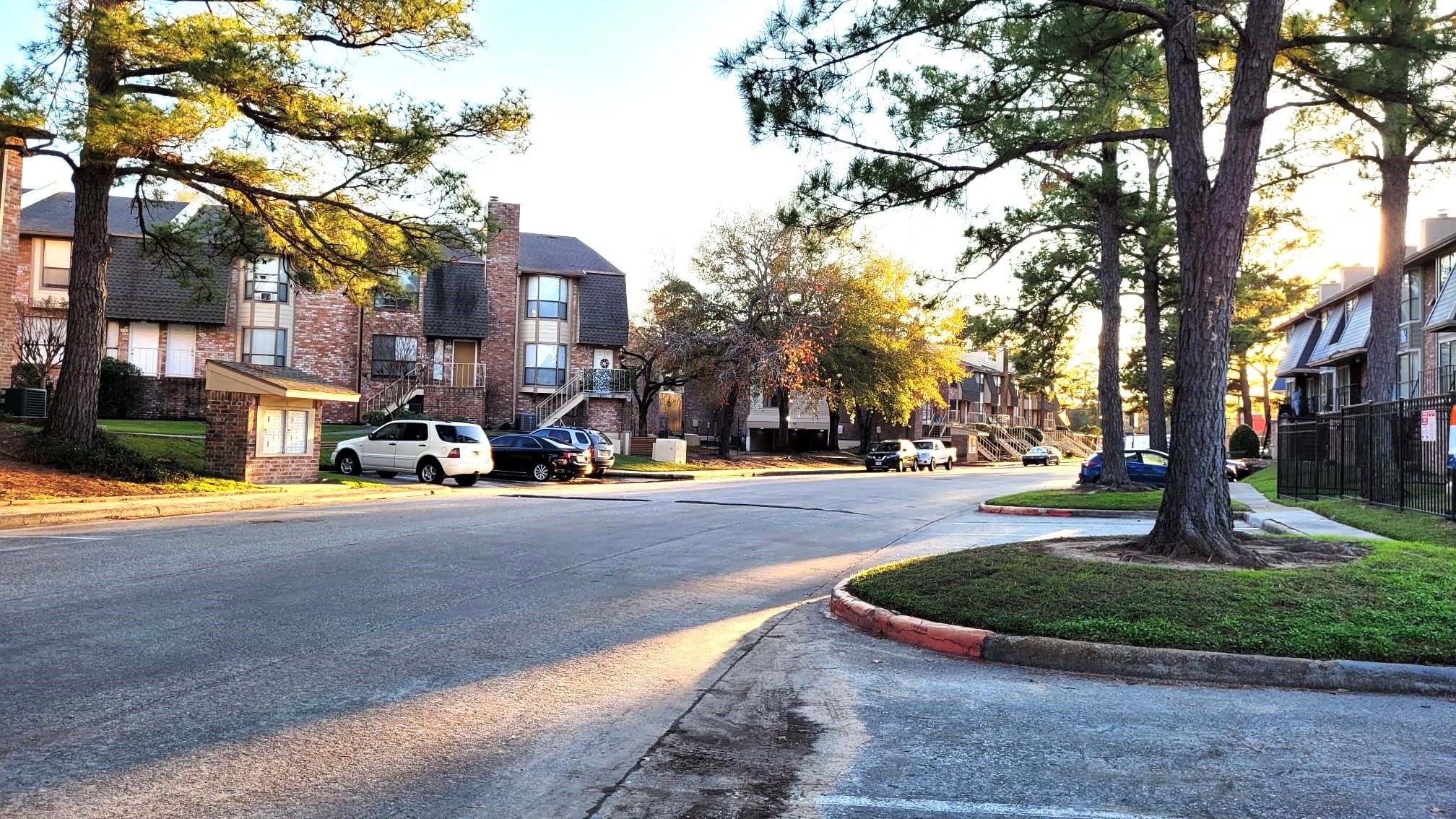 2103 Place Rebecca Lane, Unit D6 Houston, TX 77090 - Photo 30 of 31 a street view with large trees