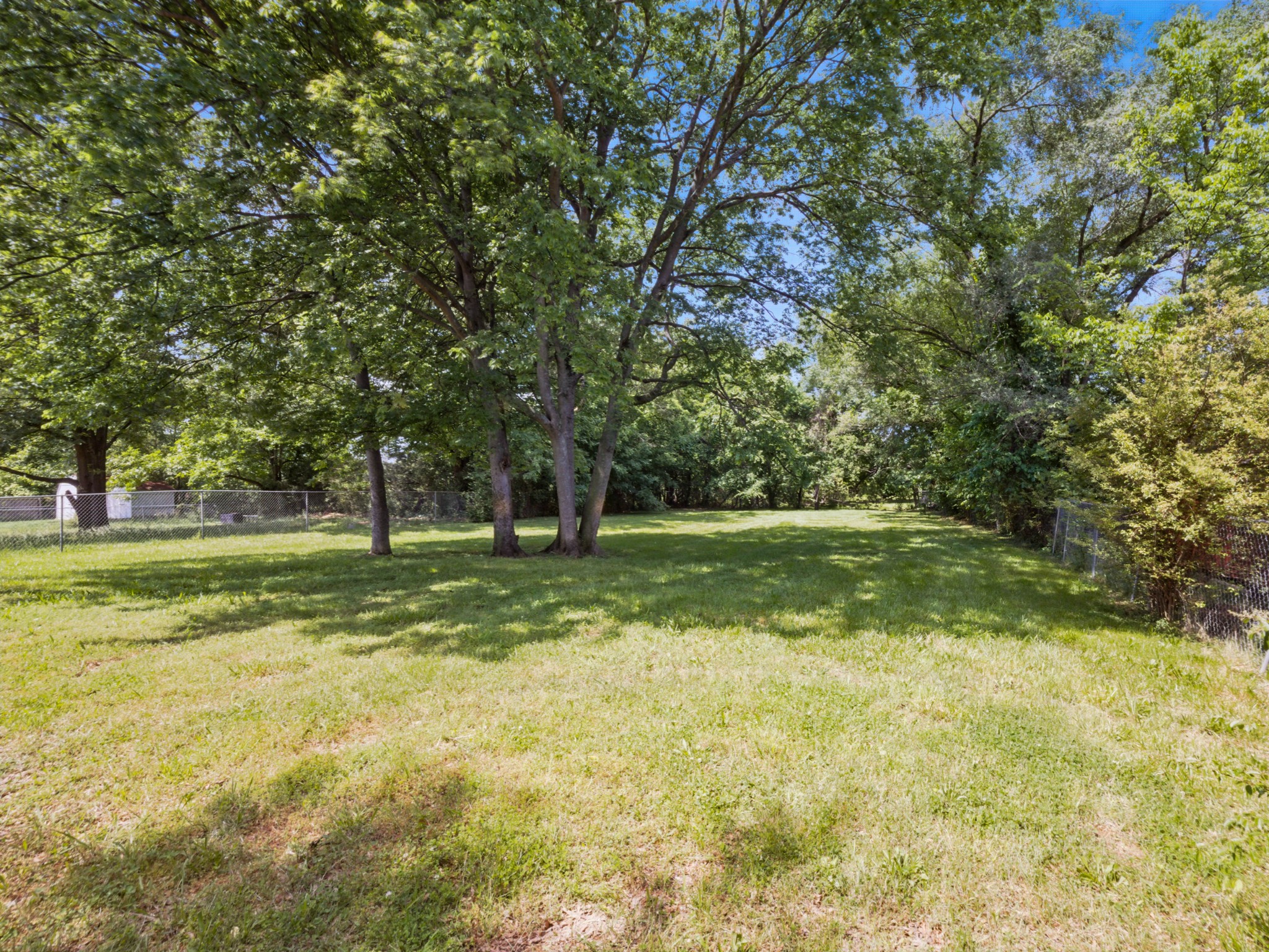 763 Needmore Road Clarksville, TN 37040 - Photo 25 of 43 a view of a tree in a yard