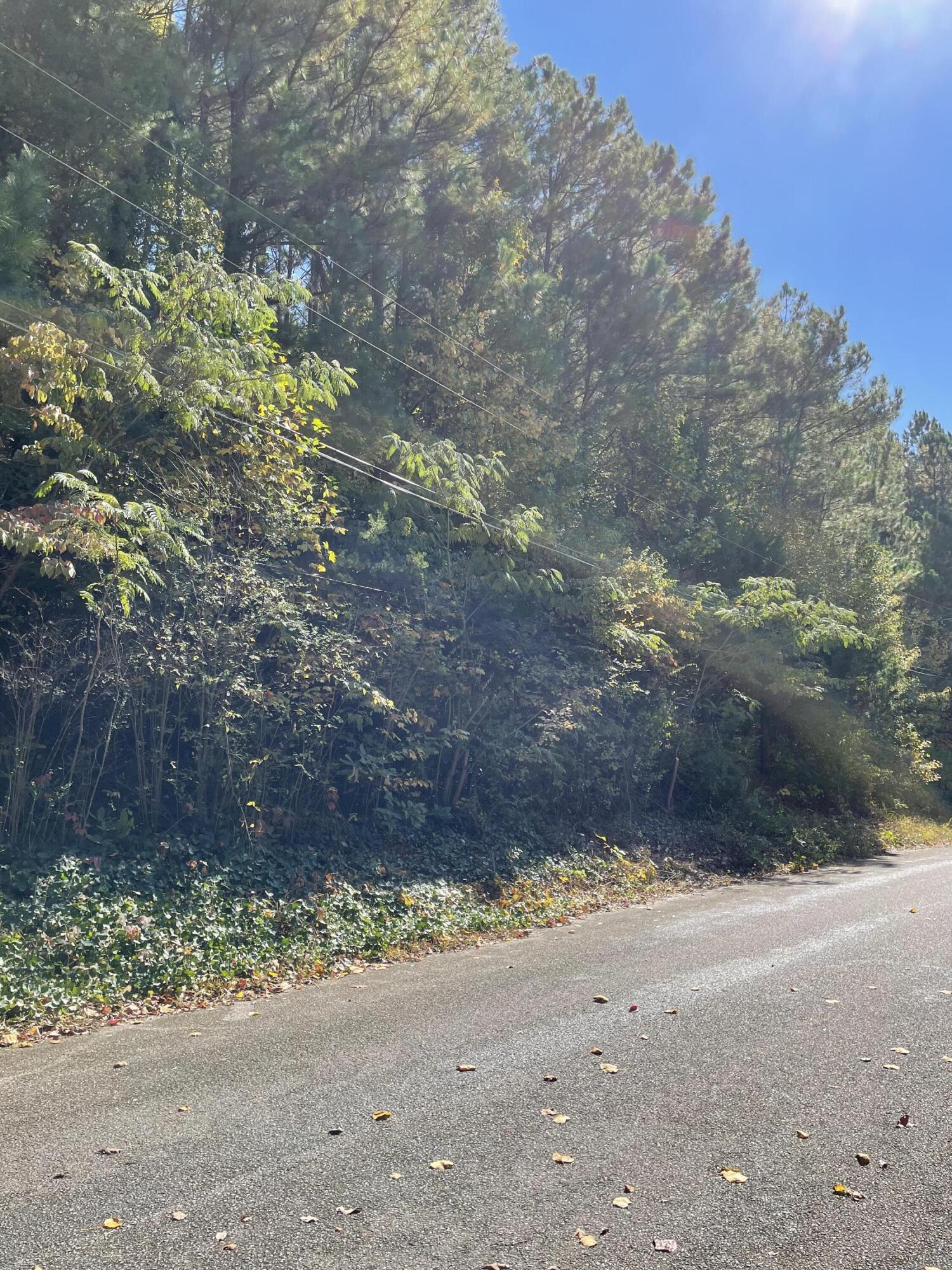 902 Chestnut Wood Lane Chattanooga, TN 37421 - Photo 4 of 7 IMG_7003