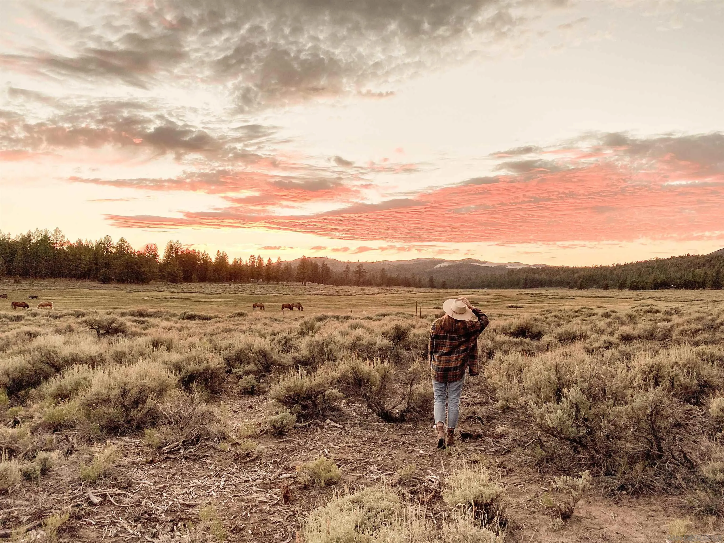 34300 Holcomb Valley Road, Unit MULTIPLE Lucerne Valley, CA 92356 - Photo 11 of 26